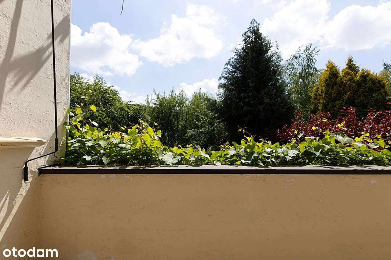 Atrakcyjny, dwurodzinny dom szeregowy na Borku-19