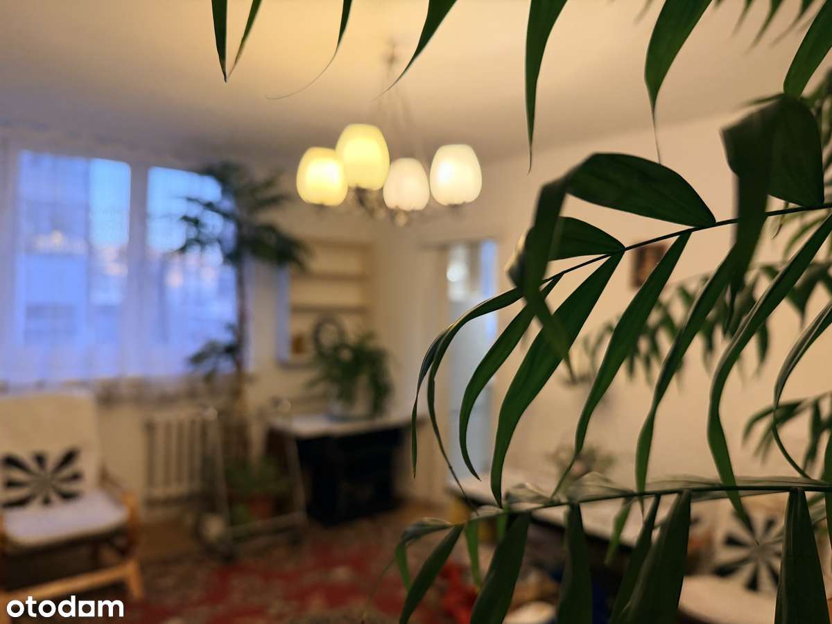 Polecamy! 3 pokoje - balkon w okolicy park-3