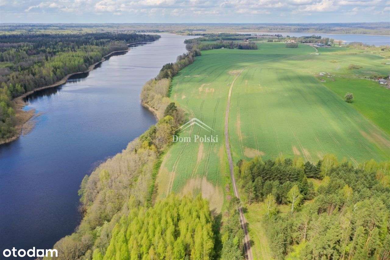 Puszcza Borecka - działka inwestycyjna 3,7 ha - Pełny obrazek: 4/16