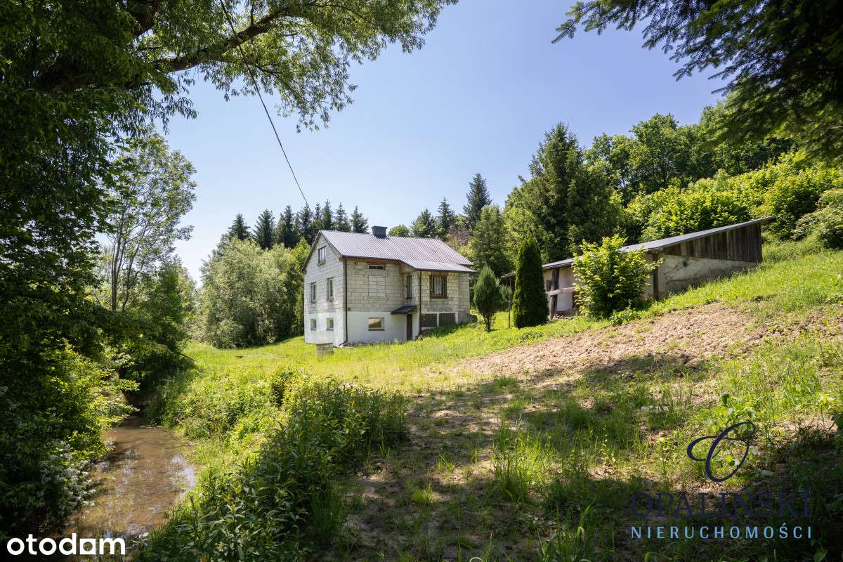 Dom do w otoczeniu zieleni do własnej aranżacji - Pełny obrazek: 4/12