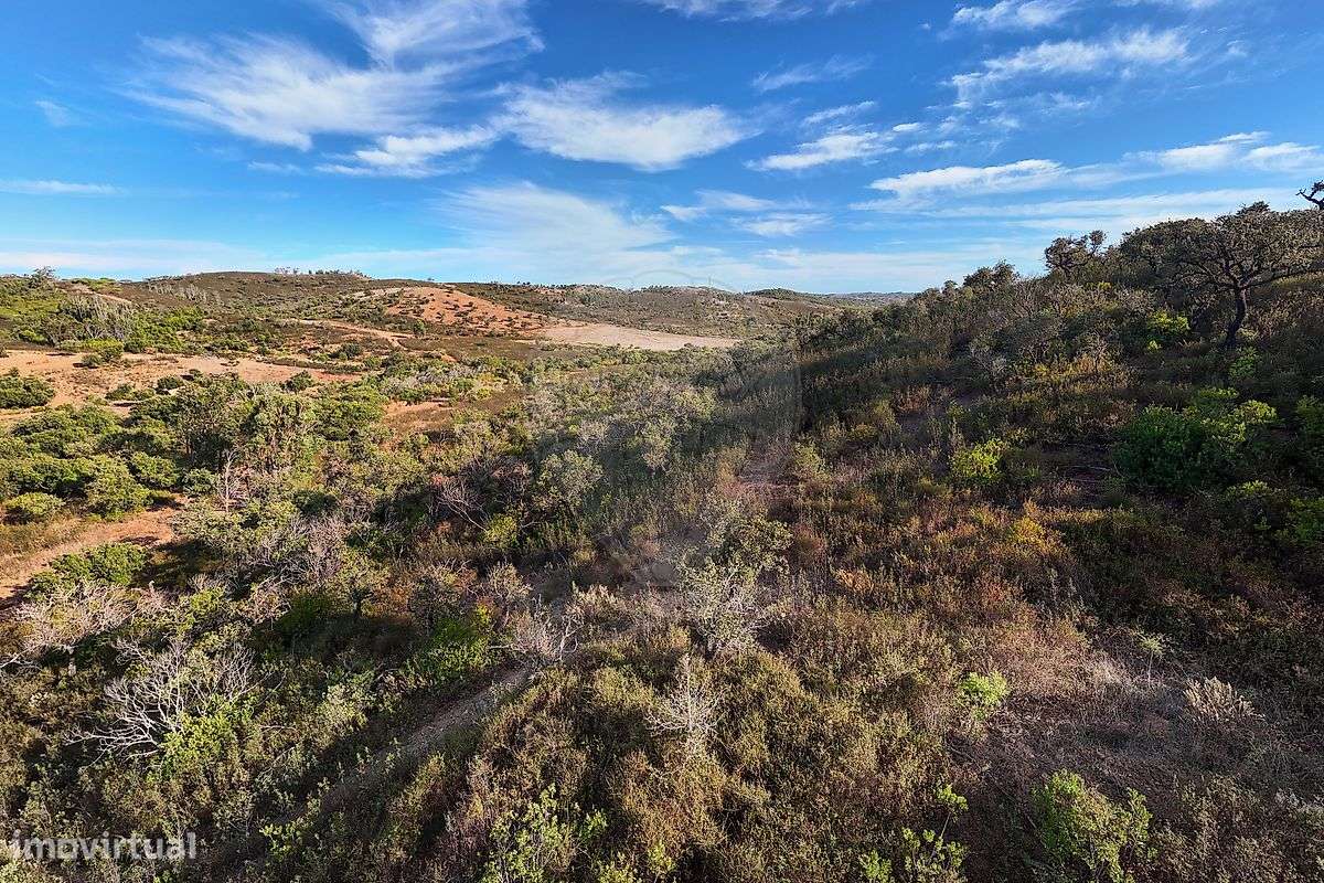 Terreno  para venda - Grande imagem: 5/6