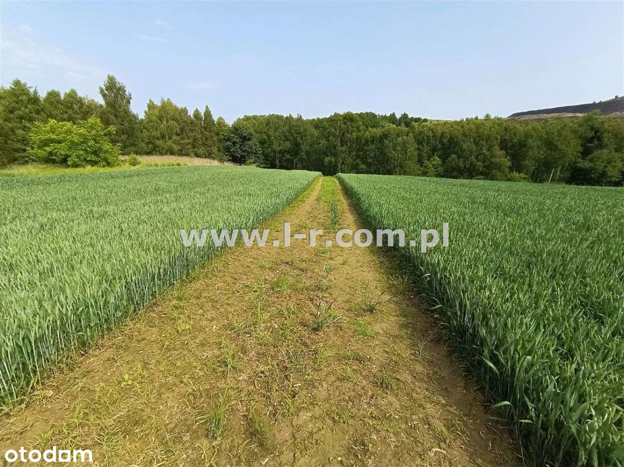 Atrakcyjna Działka W Sąsiedztwie Lasu-10