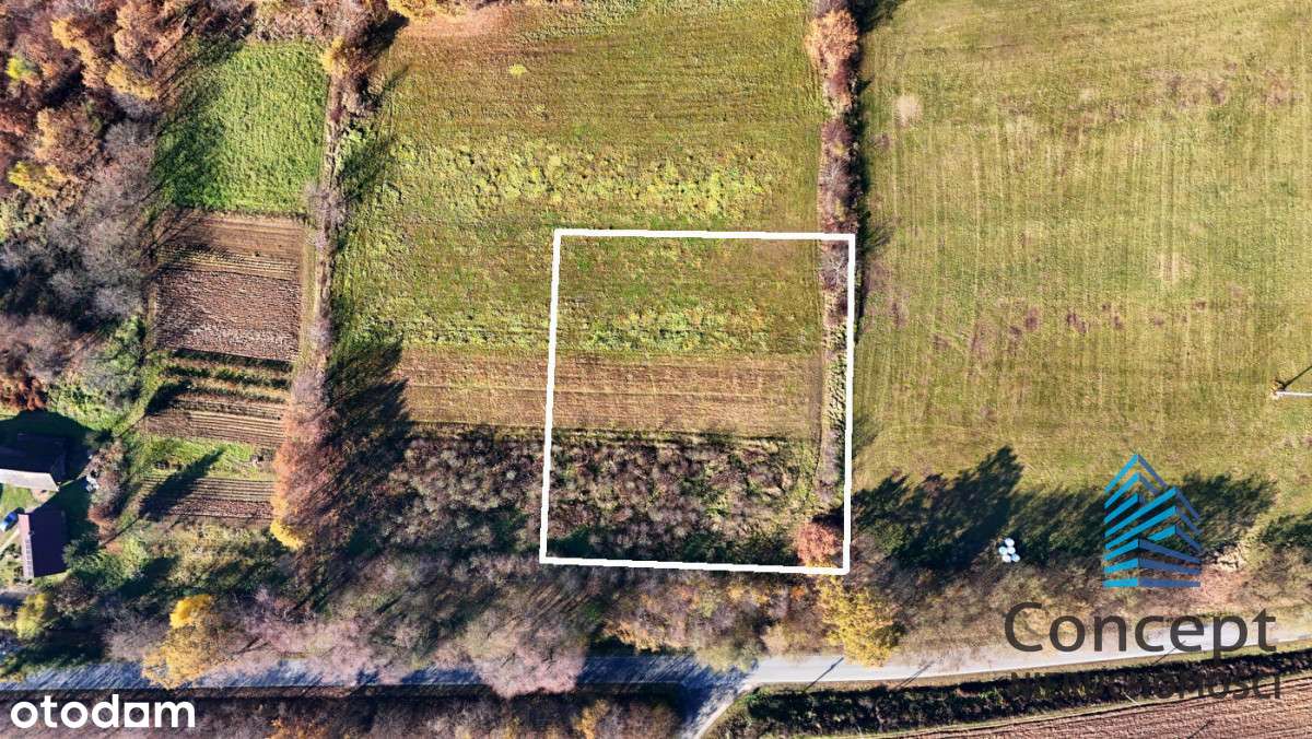 Biesiadki - działka budowlana 32 ary - Pełny obrazek: 5/15