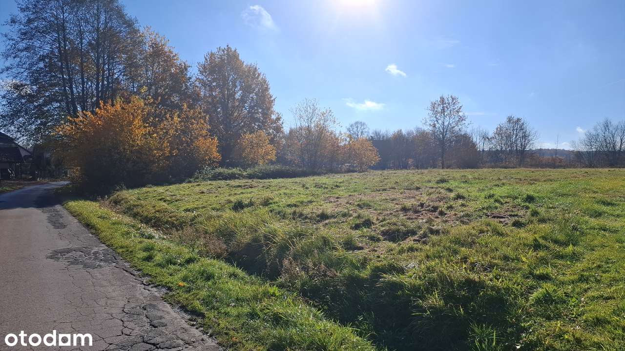 Spokojna okolica, możliwość podziału-16