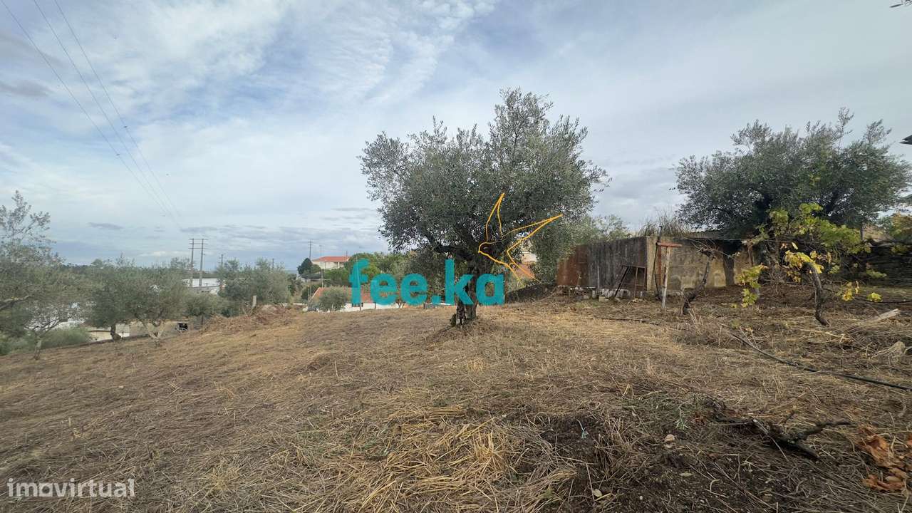 Quintinha-27