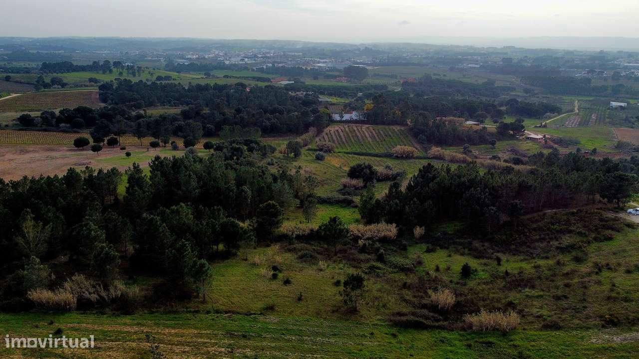 Apresento terreno com total de 5 520m2, localizado na Lapa, Cartaxo-15