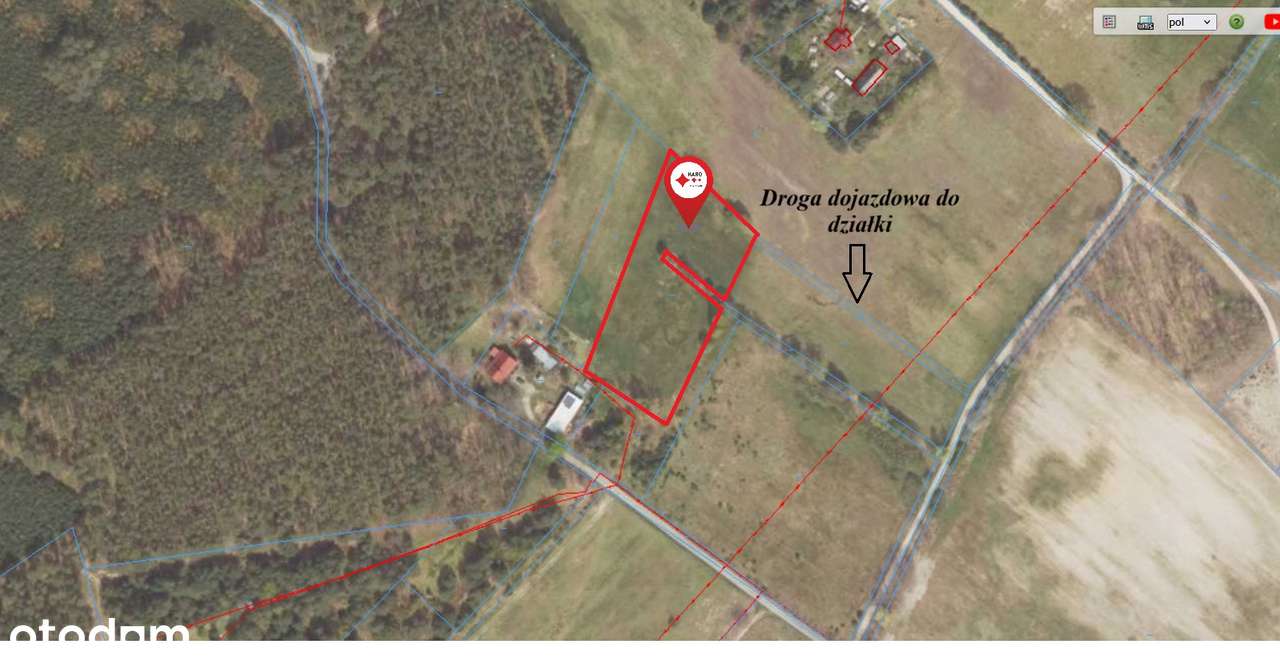 Działka z WZ wśród pól i lasów, blisko zjazd A2 w Trzcielu - Pełny obrazek: 4/11