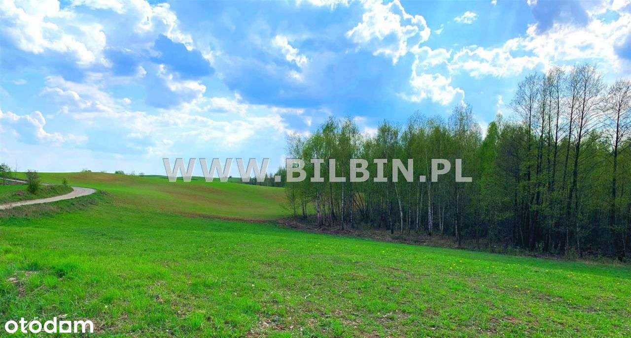 Działka z linią brzegową do jeziora Boczniel ! - Pełny obrazek: 4/17