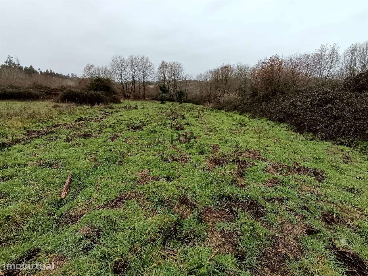 Moradia Devoluta em pedra em Casal Vidona, Santa Comba Dão - Grande imagem: 4/14