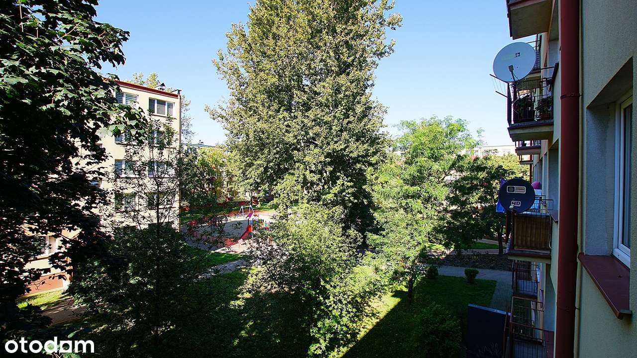 48 m2 Płock Królowej Jadwigi 3pokoje - Pełny obrazek: 5/16