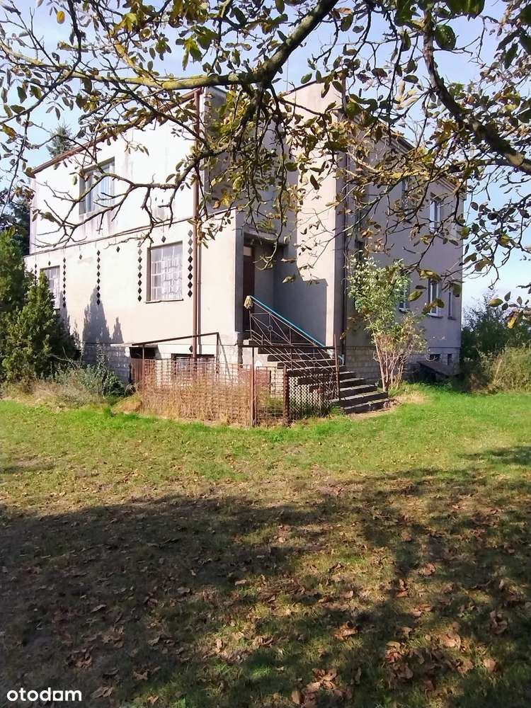 Dom wolnostojący/duża działka/blisko Mogilna-2