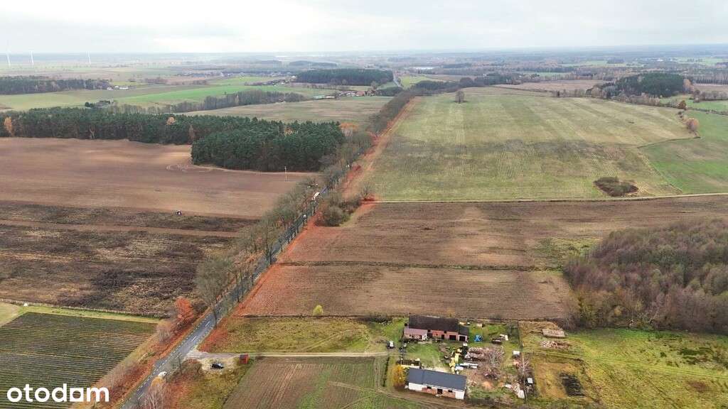 Na sprzedaż działki Wapniarnia Pierwsza Trzcianka - Pełny obrazek: 4/7