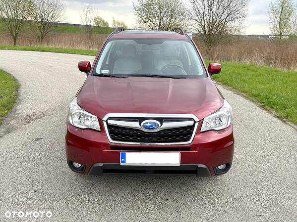 Subaru Forester - 12