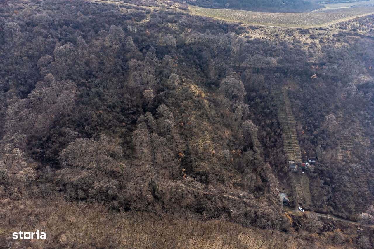 Teren în Ghioroc pe deal - Imagine principală: 5/6