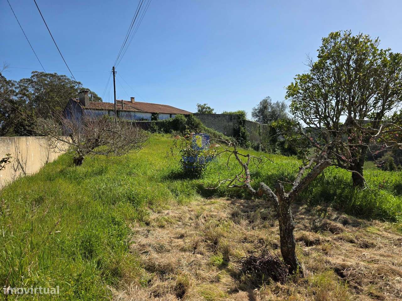 Quintinha com 12.484m2 de Terreno e 260m2 de área bruta. Possibilidad-17