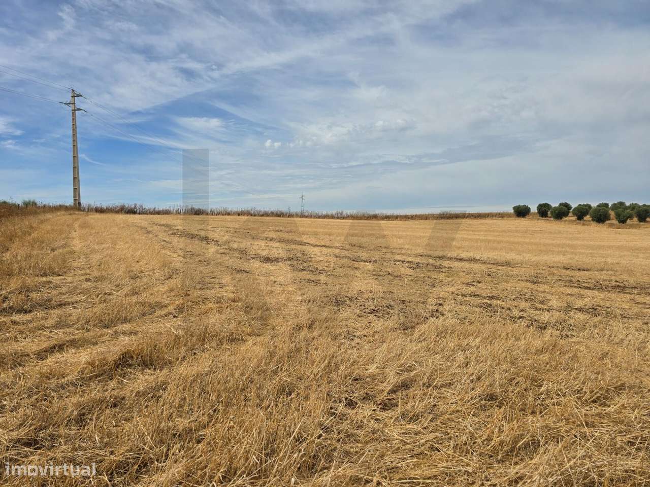 Terreno agrícola junto à aldeia de Pedrógão - Vidigueira - Grande imagem: 3/17