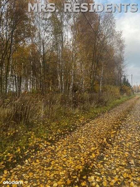 piękna okolica Książenice!!! - Pełny obrazek: 4/6