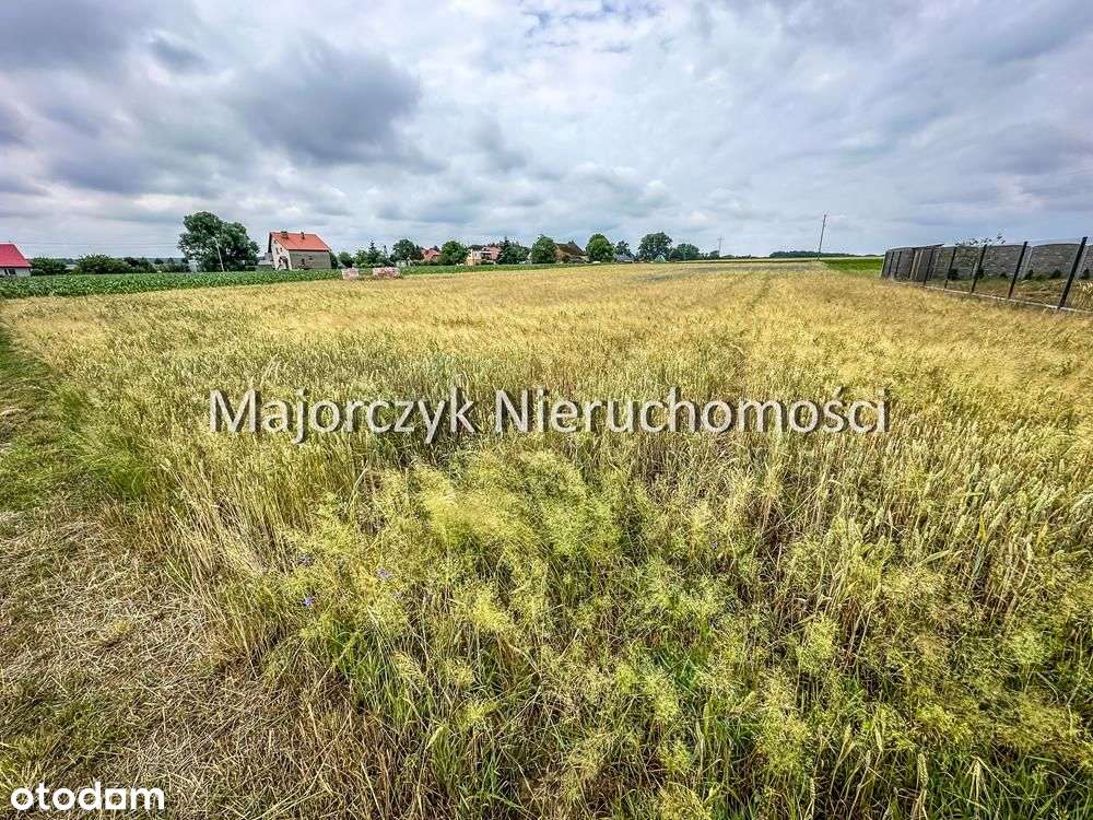 Duża działka rolna - Bukówiec Górny, ul. Grotnicka - Pełny obrazek: 4/20