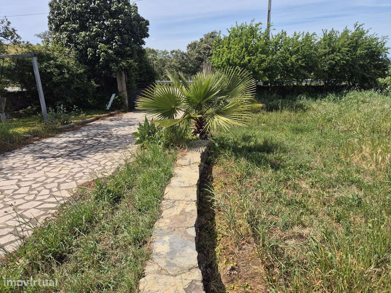 Monte Alentejano a 3km de Gomes Aires-Almodovar-14
