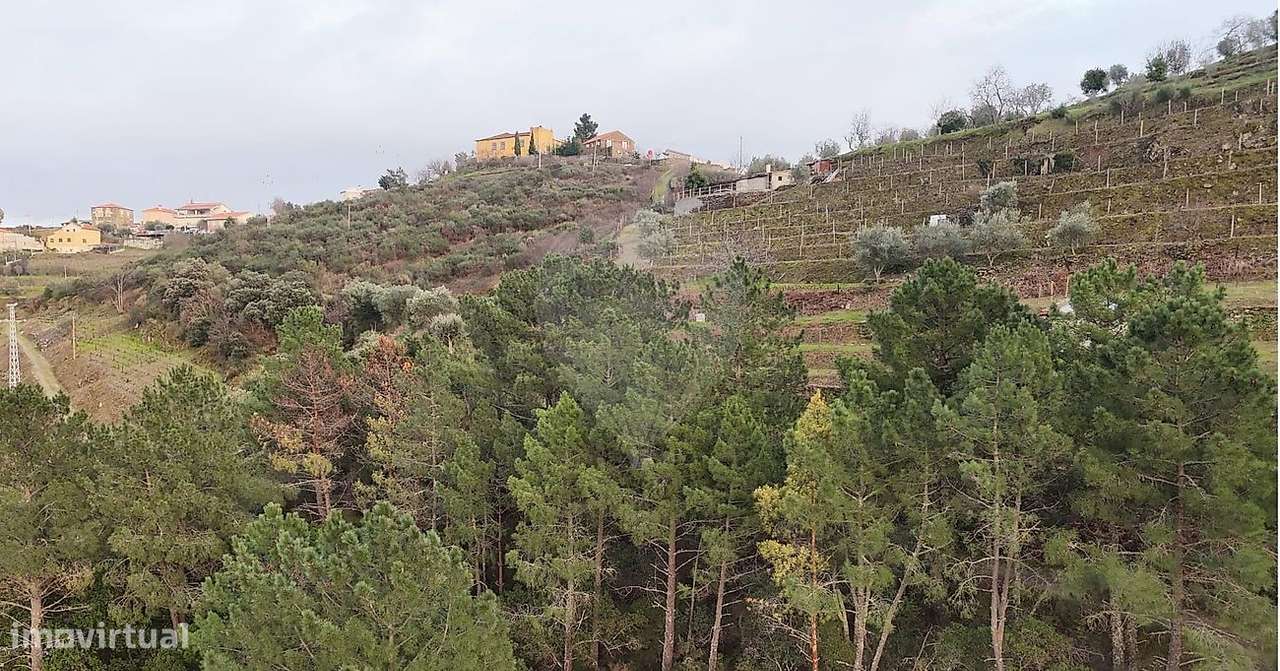 Terreno  para venda - Grande imagem: 2/9