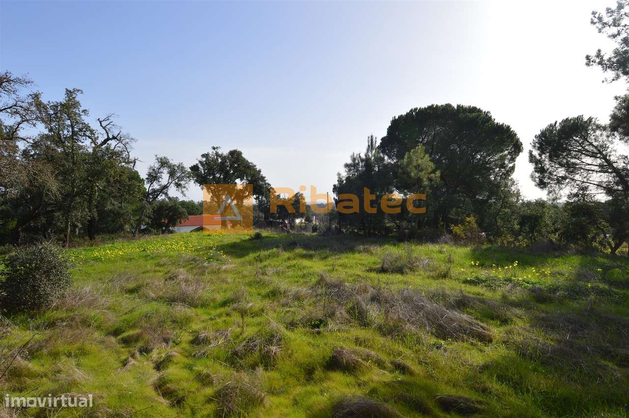 Terreno para construção no Valverde - Grande imagem: 5/13
