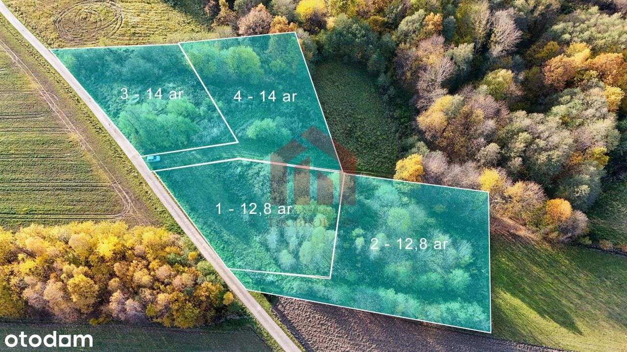 Na szczycie.. Wiem, że o tym właśne marzysz! - Pełny obrazek: 5/19