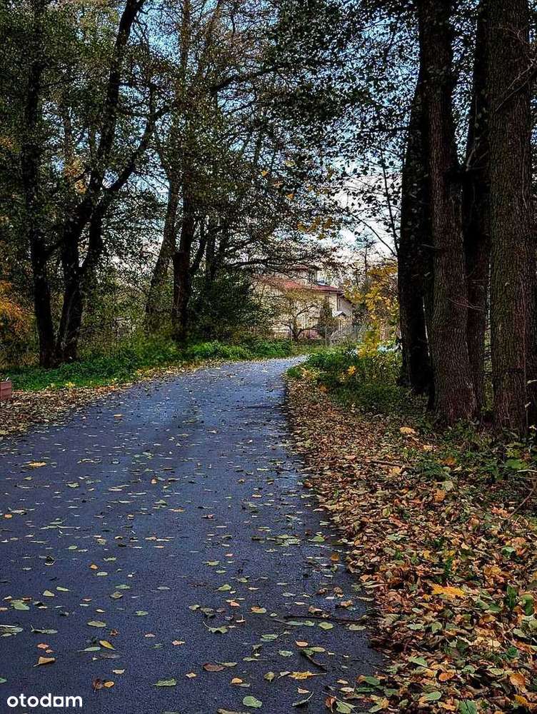 Zaciszna działka w Starym Wielisławiu-3