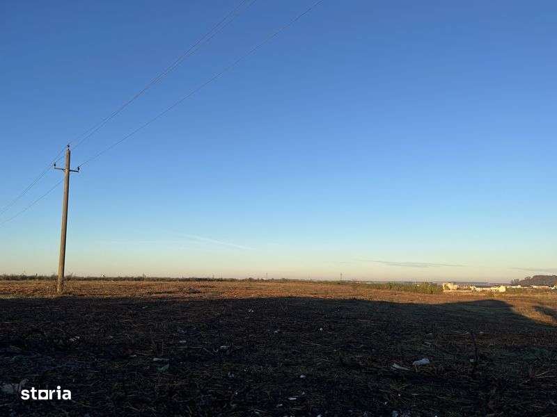 Teren de vanzare MOGOSOAIA - Imagine principală: 4/6