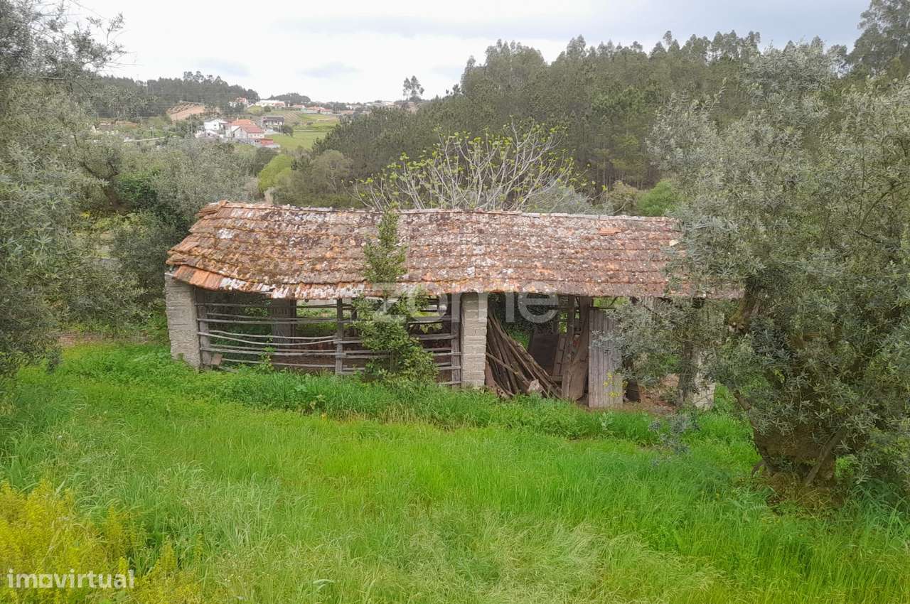 Terreno Rustico - Grande imagem: 3/25