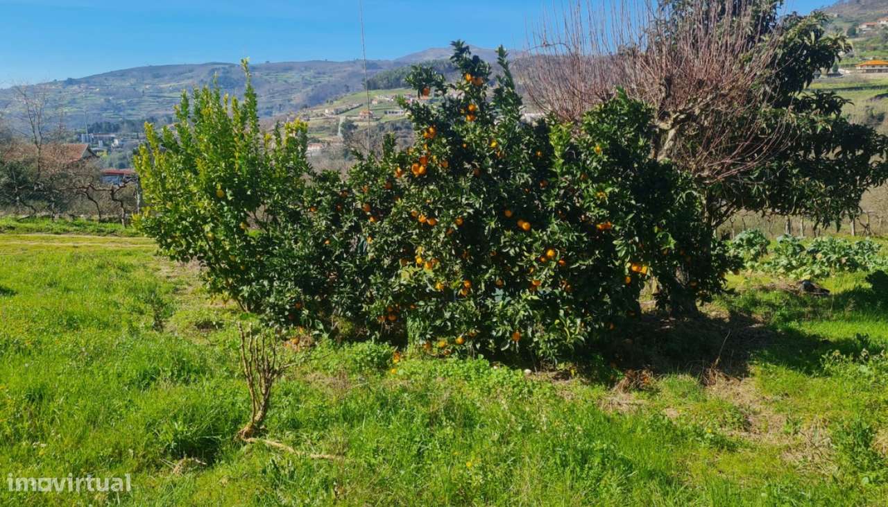 Venda Terreno, Gestaçô, Baião - Grande imagem: 5/20