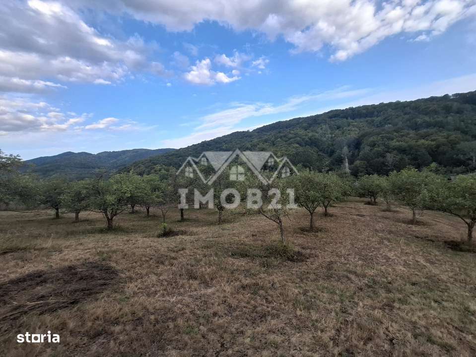 Teren spectaculos cu padure, livada si priveliste panoramica in Soimar-9