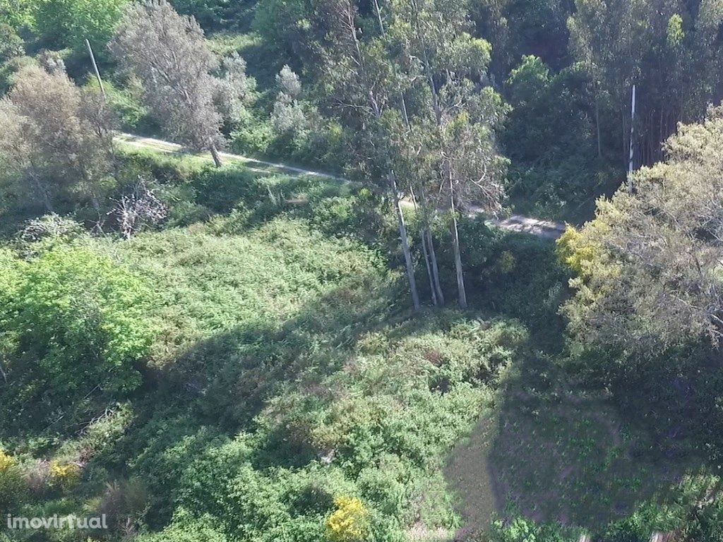 Terreno rústico com 6.120 m2 em Alferce, Monchique, Algarve