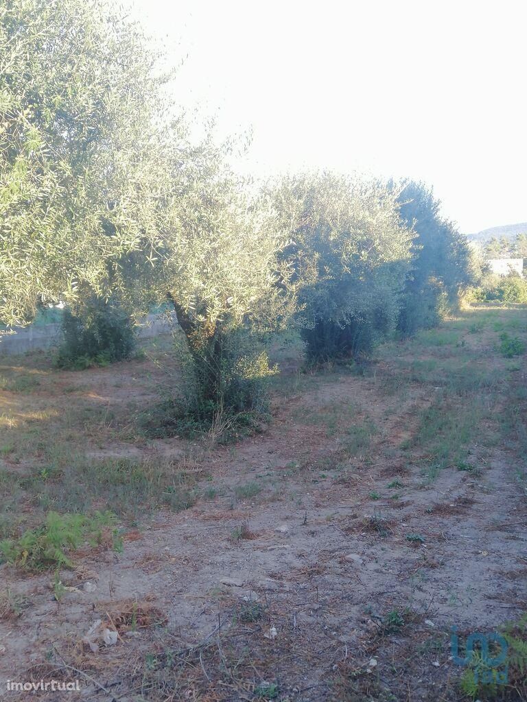 Terreno em Viana do Castelo de 1350,00 m2