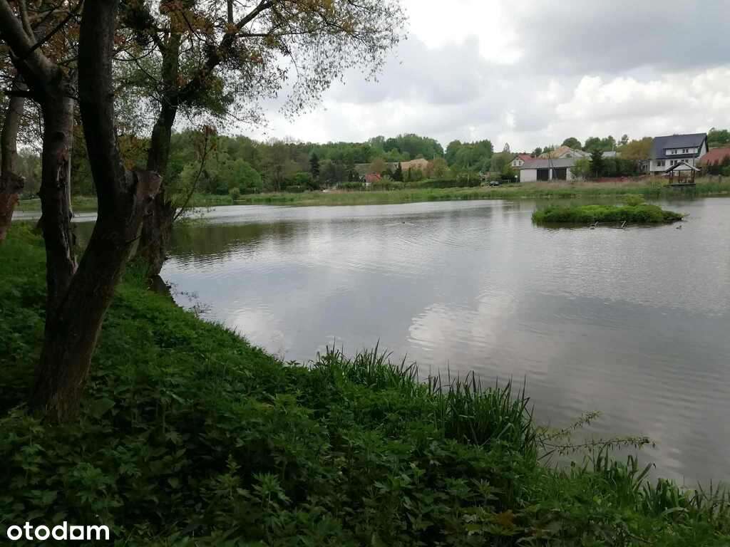 Działka o pow. 4,6 ha w Klementowicach gm. Kurów. - Pełny obrazek: 5/8