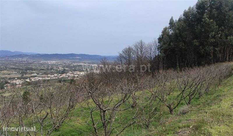 Quinta / Fundão, Aldeia Nova - Grande imagem: 1/4