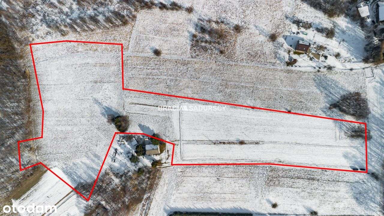 Działka z widokiem, położona na wzgórzu! - Pełny obrazek: 4/20