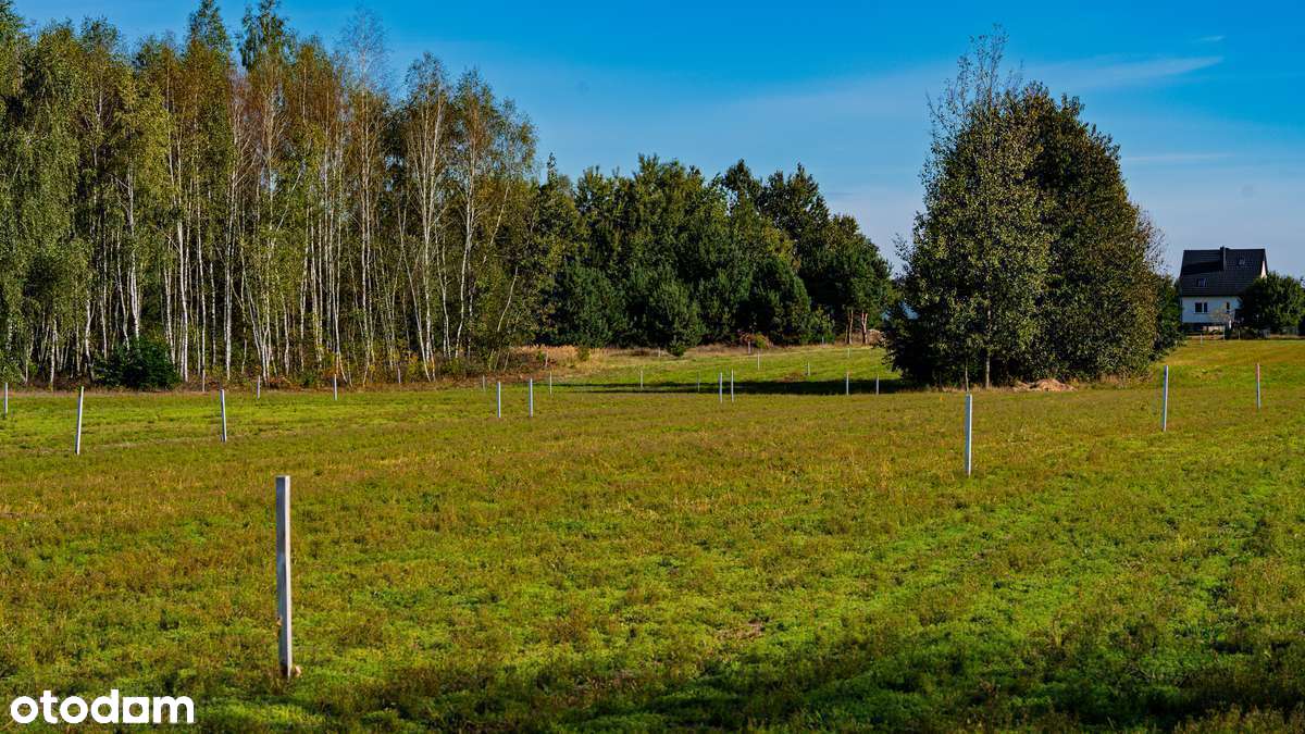 Działki blisko plaży Jezioro Piaseczno Pojezierze Łęczyńsko Włodawskie - Pełny obrazek: 5/18
