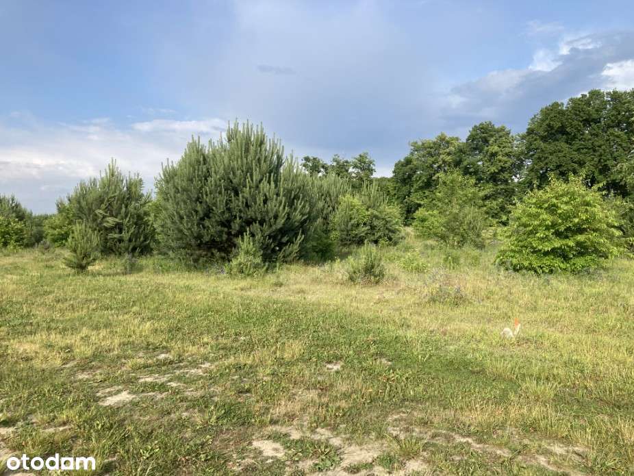 Działka budowlana - Pełny obrazek: 5/12