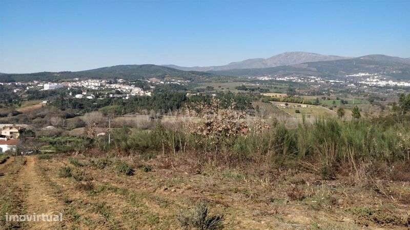 Terreno Rústico / Fundão, Alcaria - Grande imagem: 2/3