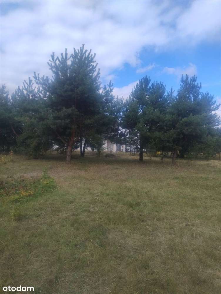 Piękna działka w Rakowni Gmina Murowana Goślina-13