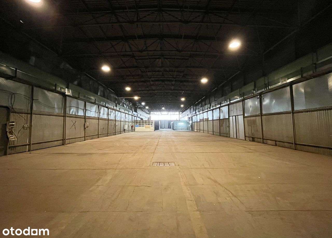 Hala magazynowo-produkcyjna, Wrocław - Pełny obrazek: 3/12