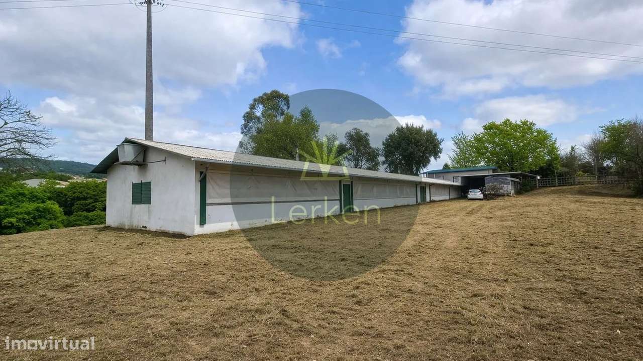 Terreno de 3.000 m² com Armazém de 500 m2 – S. Simão | V. N. Famalição - Grande imagem: 5/5