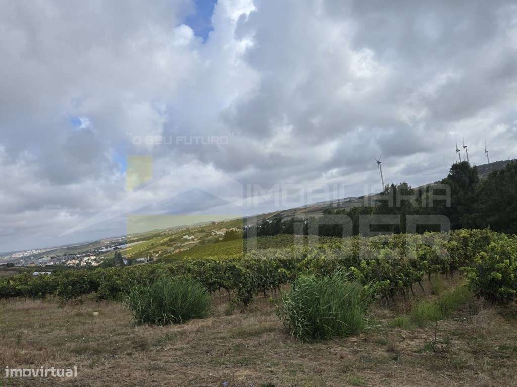 Terreno Misto em Malha Urbana com 15080m2 em Casal do Vale- Freiria - Grande imagem: 5/6