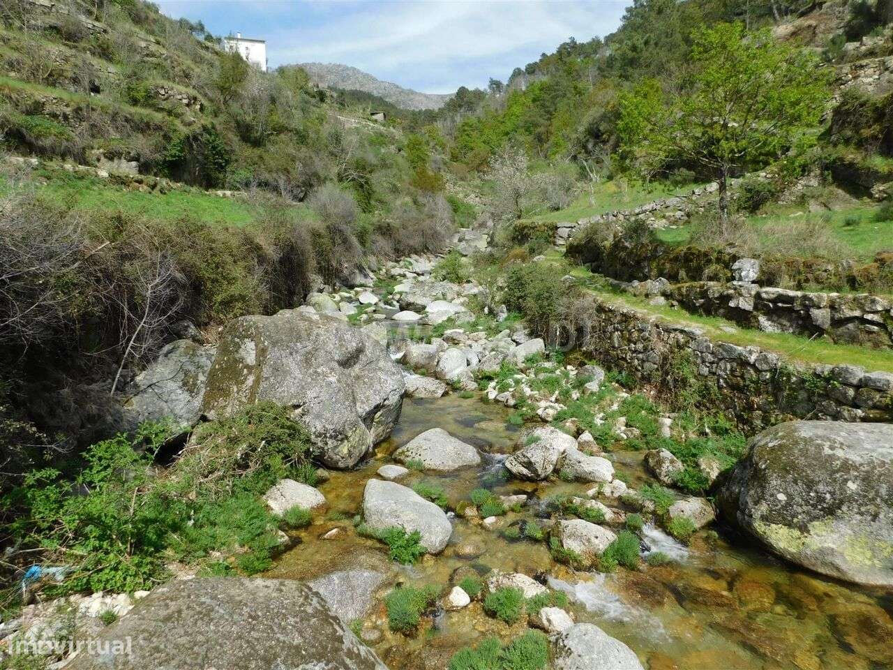 Quintinha / Seia, Loriga - Grande imagem: 5/5