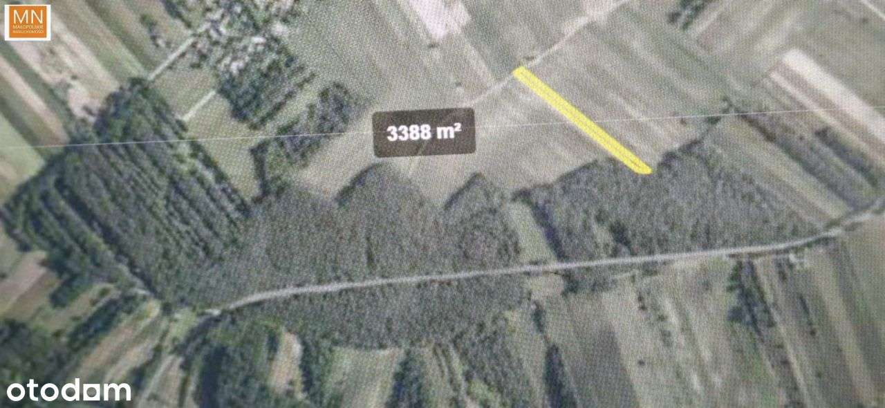 Koszyce,Rachwałowice,Działki 1,2142haRolne-13