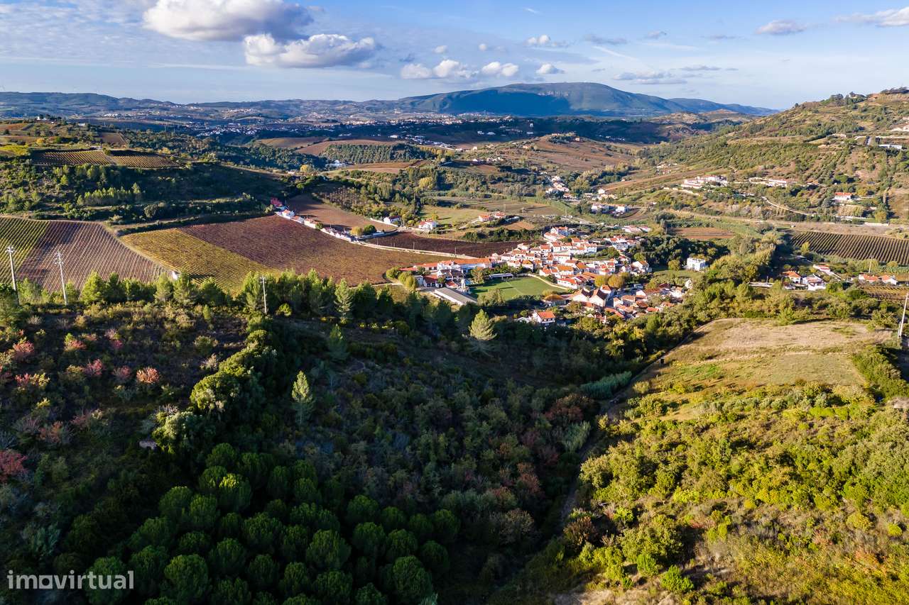 TERRENO RUSTICO | MECA | ALENQUER | 6000M2 - Grande imagem: 4/5