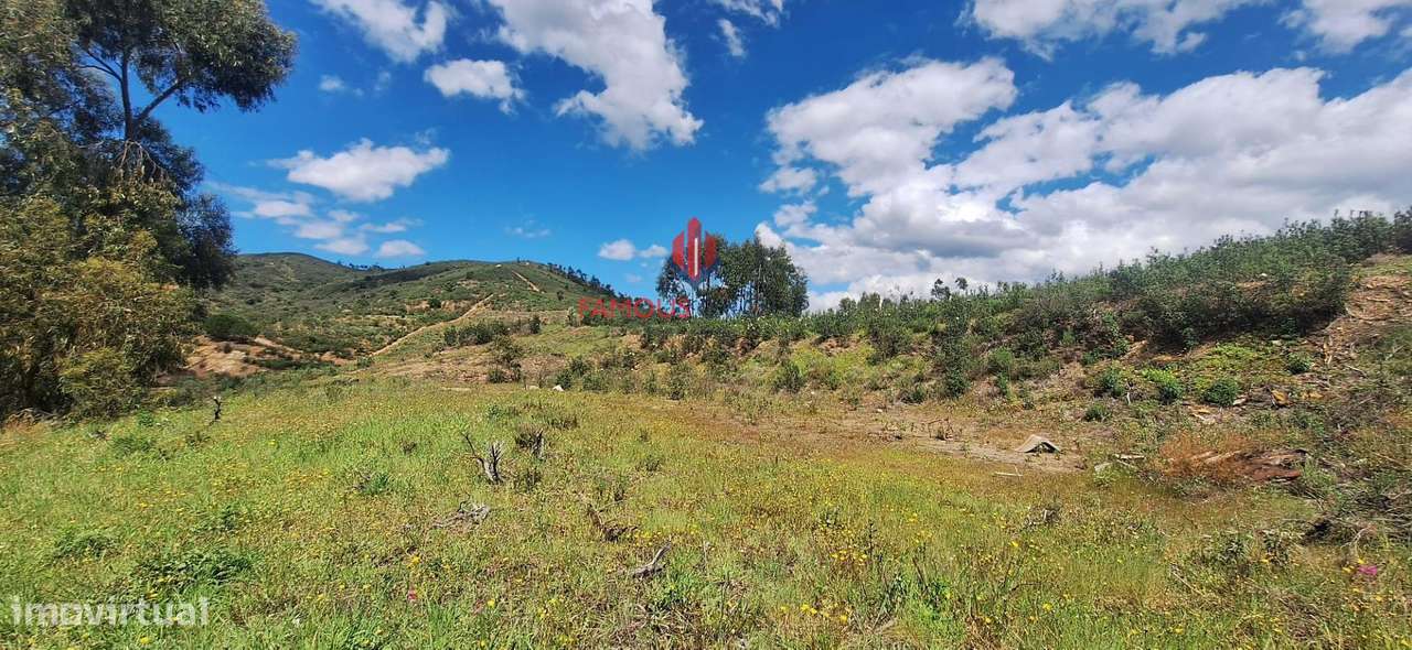 Terreno Rústico com riacho - Tojeiro - Marmelete - Grande imagem: 5/10