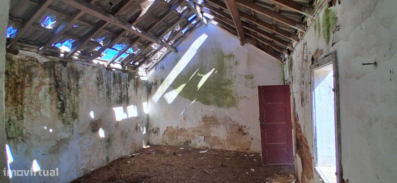 Terreno misto, com ruína para recuperar - Almeirim / Fazendas de Al... - Grande imagem: 5/13