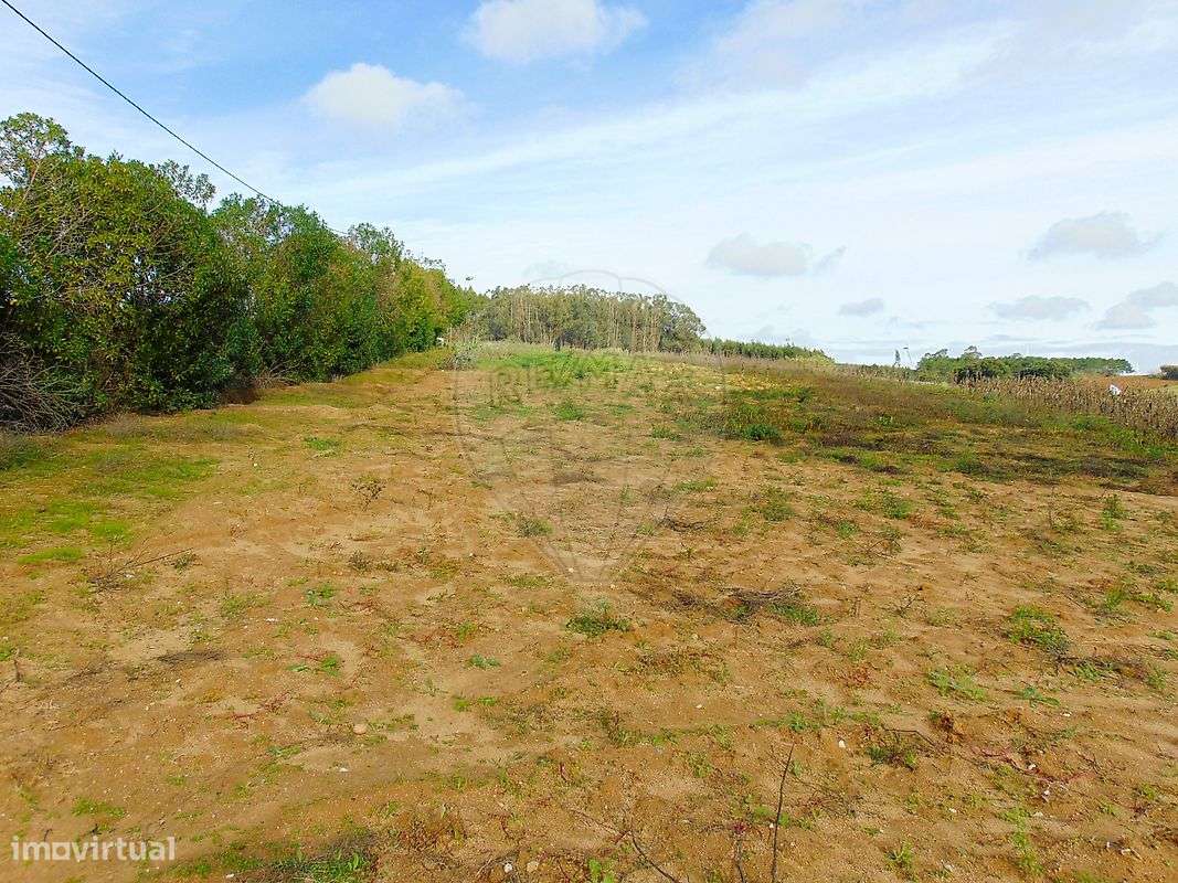 Terreno  para venda - Grande imagem: 4/7