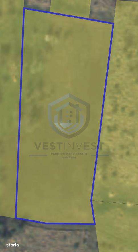 Teren intravilan Dealuri Oradea 3649 mp - Imagine principală: 4/4